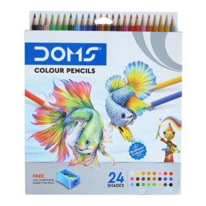 Doms_pencil_color_the_stationer